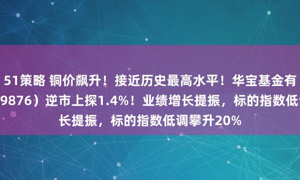 51策略 铜价飙升！接近历史最高水平！华宝基金有色ETF（159876）逆市上探1.4%！业绩增长提振，标的指数低调攀升20%